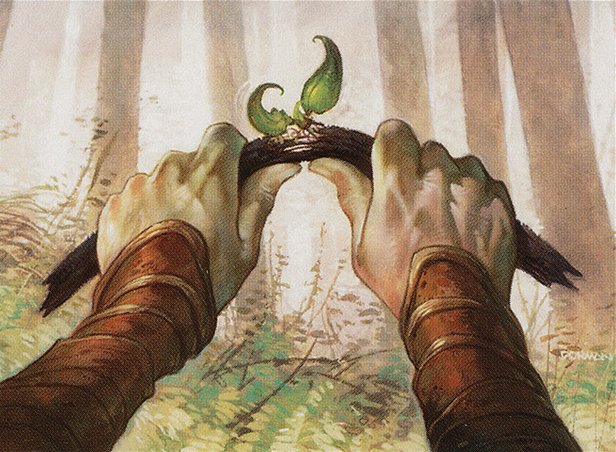 Wanderer’s Twig