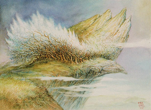 Windbrisk Heights