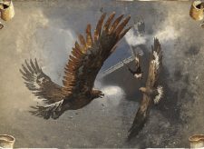 Eagles of the North