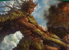 Fangorn, Tree Shepherd