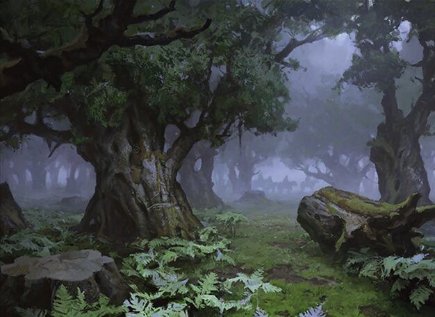 Forest