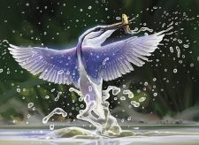 Ithilien Kingfisher