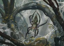 Mirkwood Spider