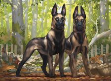 Mushroom Watchdogs