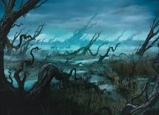 Swamp