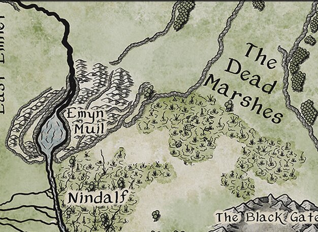 Swamp