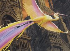 Birds of Paradise