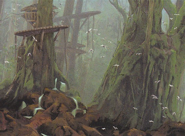 Forest