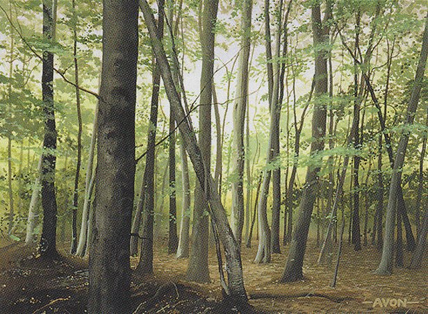 Forest