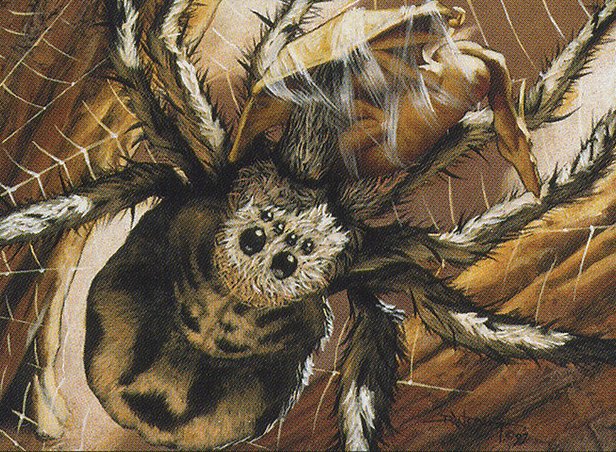 Giant Spider