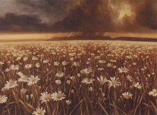 Plains