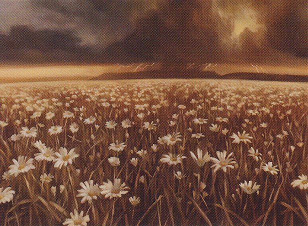 Plains