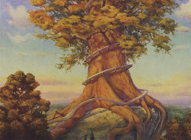 Rootbound Crag