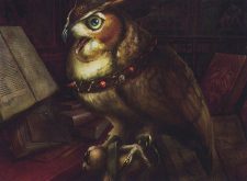 Sage Owl