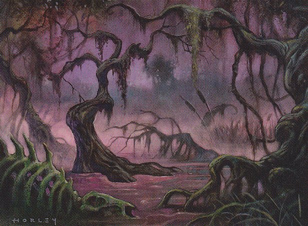 Swamp