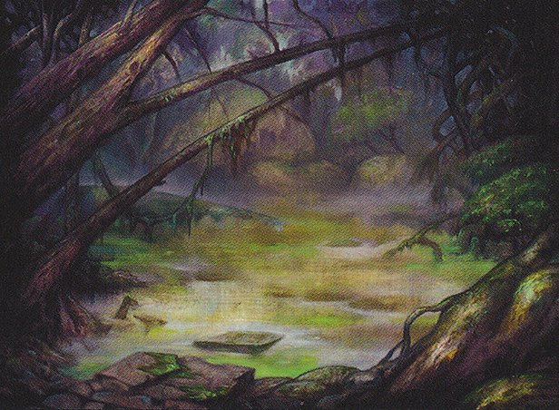 Swamp