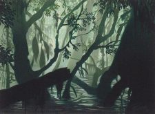 Swamp