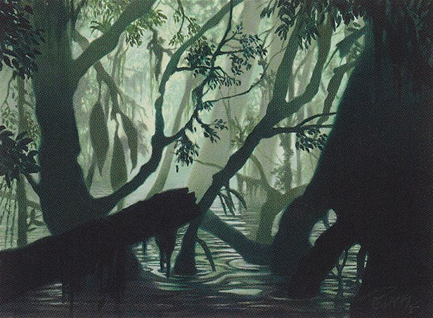 Swamp