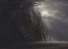 Wall of Bone