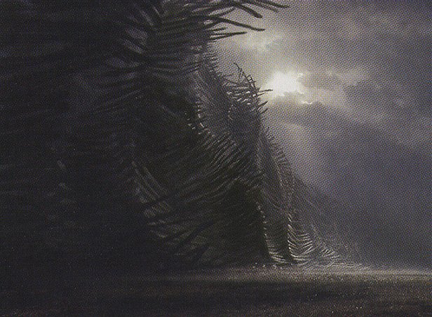 Wall of Bone