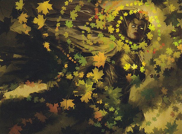 Autumn’s Veil