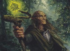 Elvish Archdruid