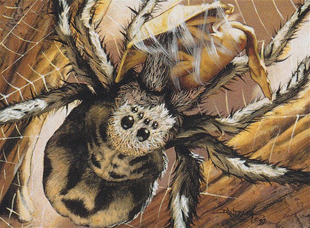 Giant Spider