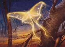 Goldenglow Moth