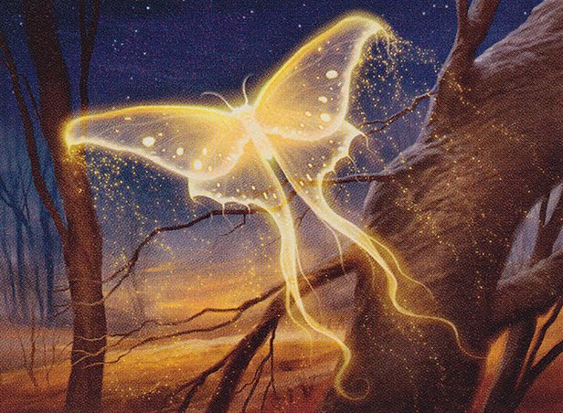 Goldenglow Moth