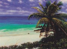 Island