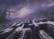 Mystifying Maze