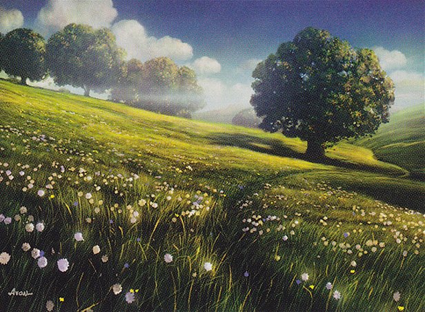 Plains