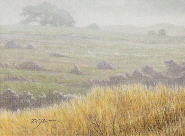 Plains