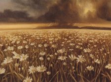 Plains