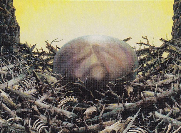 Roc Egg