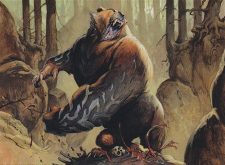 Runeclaw Bear