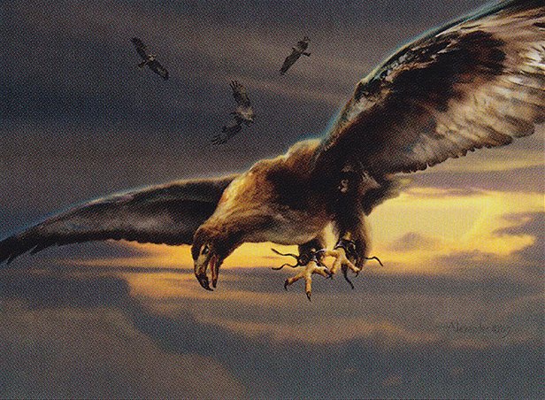 Squadron Hawk