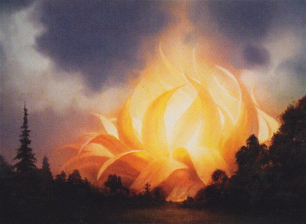 Sunpetal Grove