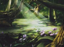 Swamp