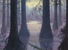 Swamp