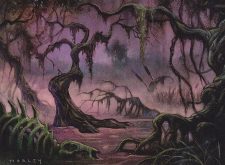 Swamp