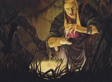 Viscera Seer