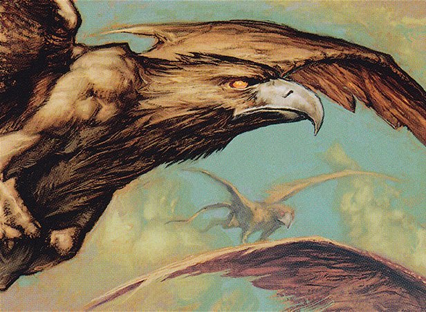 Wild Griffin
