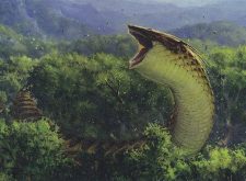 Yavimaya Wurm