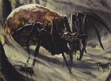 Arachnus Spinner