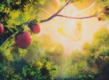 Bountiful Harvest