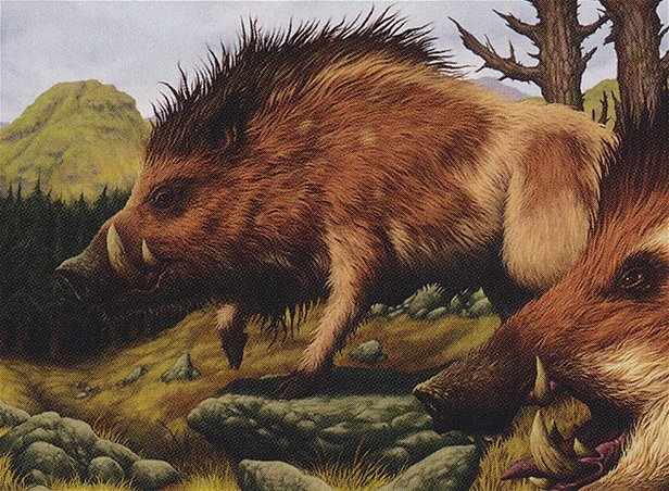 Brindle Boar