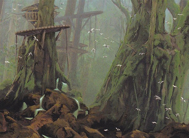 Forest