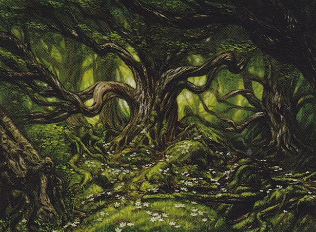Forest