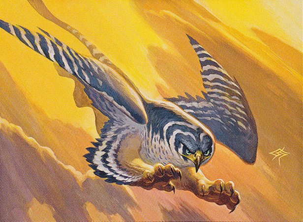 Peregrine Griffin